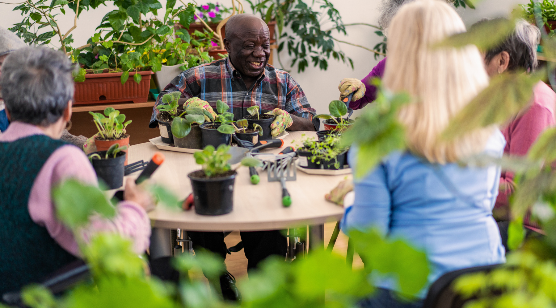 Explaining RAD and DAP to families: a practical guide for aged care teams