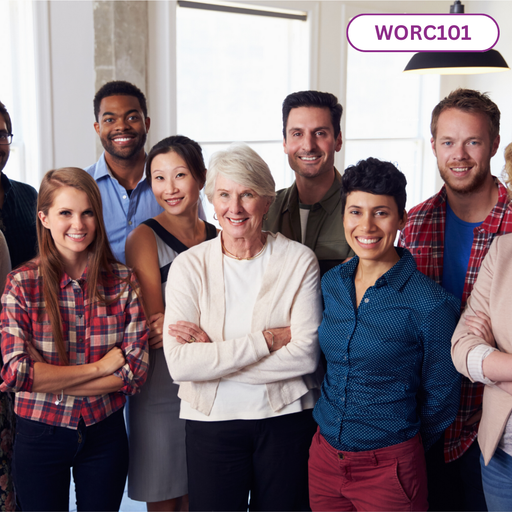 Workplace Culture course by Dimarcorp Academy on building positive, productive organisational environments.